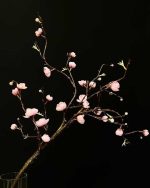 شکوفه ژاپنی ساقه بلند