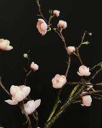 شکوفه ژاپنی ساقه بلند صورتی یکم نزدیک