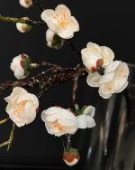 شکوفه ژاپنی سفید نزدیک