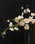 شکوفه ژاپنی سفید گلدان
