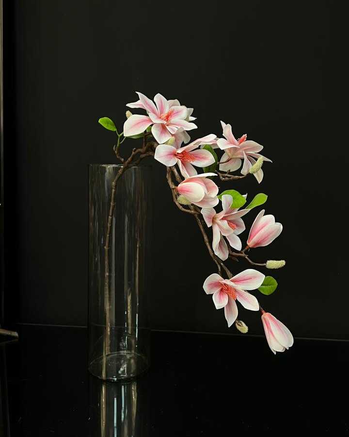 magnolia11 گل مگنولیا وارداتی سفید صورتی گلدان شیشه