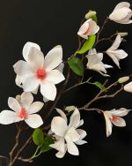 گل مگنولیا وارداتی سفید