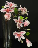 گل مگنولیا وارداتی سفید صورتی