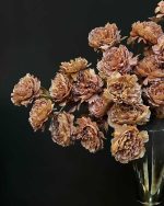 گل پیونی وارداتی نسکافه ای