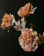 گل پیونی وارداتی نسکافه ای سه تا