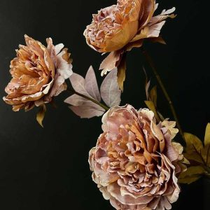 گل پیونی وارداتی نسکافه ای سه تا