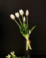 گل لاله سفید گلدان