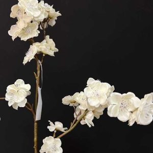 شکوفه سفید زاویه بغل