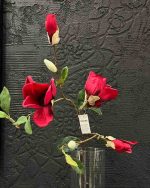 گل مگنولیا کد-m03