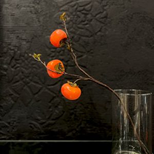 شاخه خرمالو کوتاه