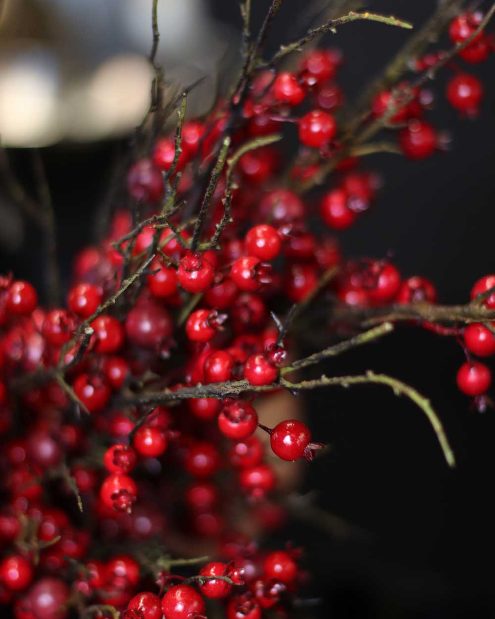 p-Miniature-pomegranate-6