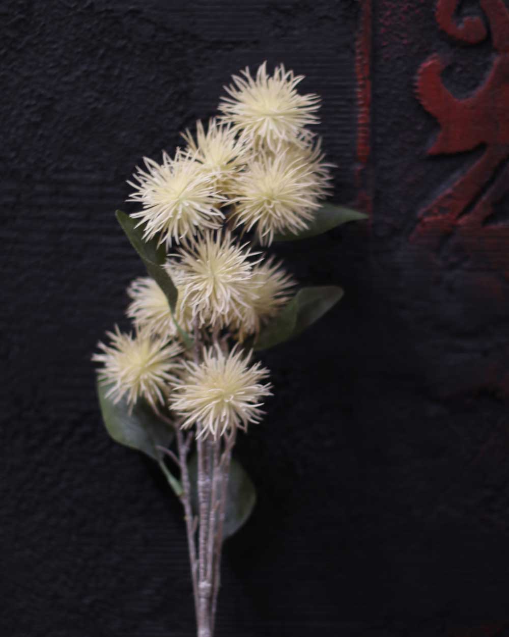 p-Wild-plant-4