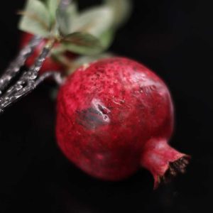 شاخه انار قرمز