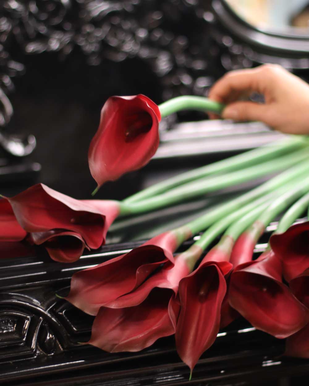 p-red-calla-lily-1