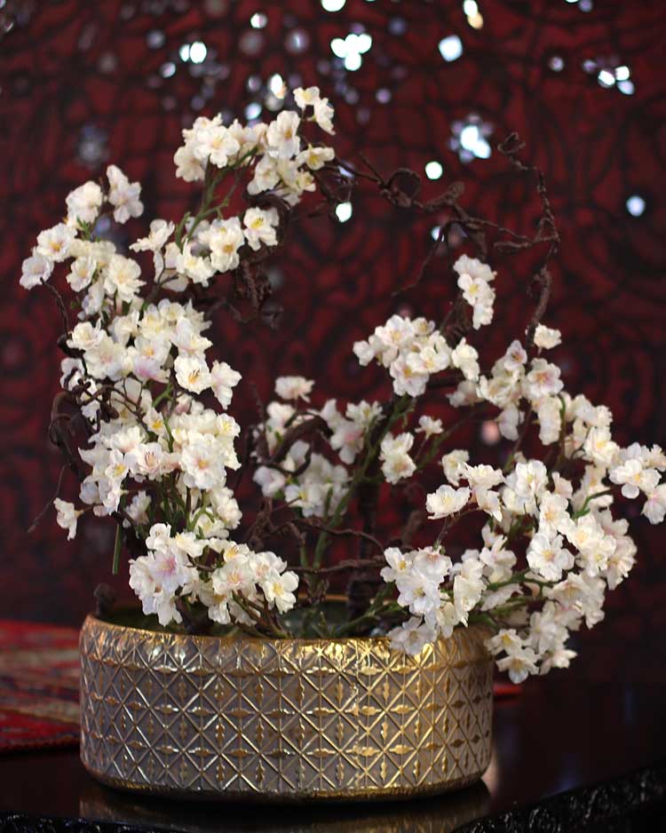 p-Almondblossom-01