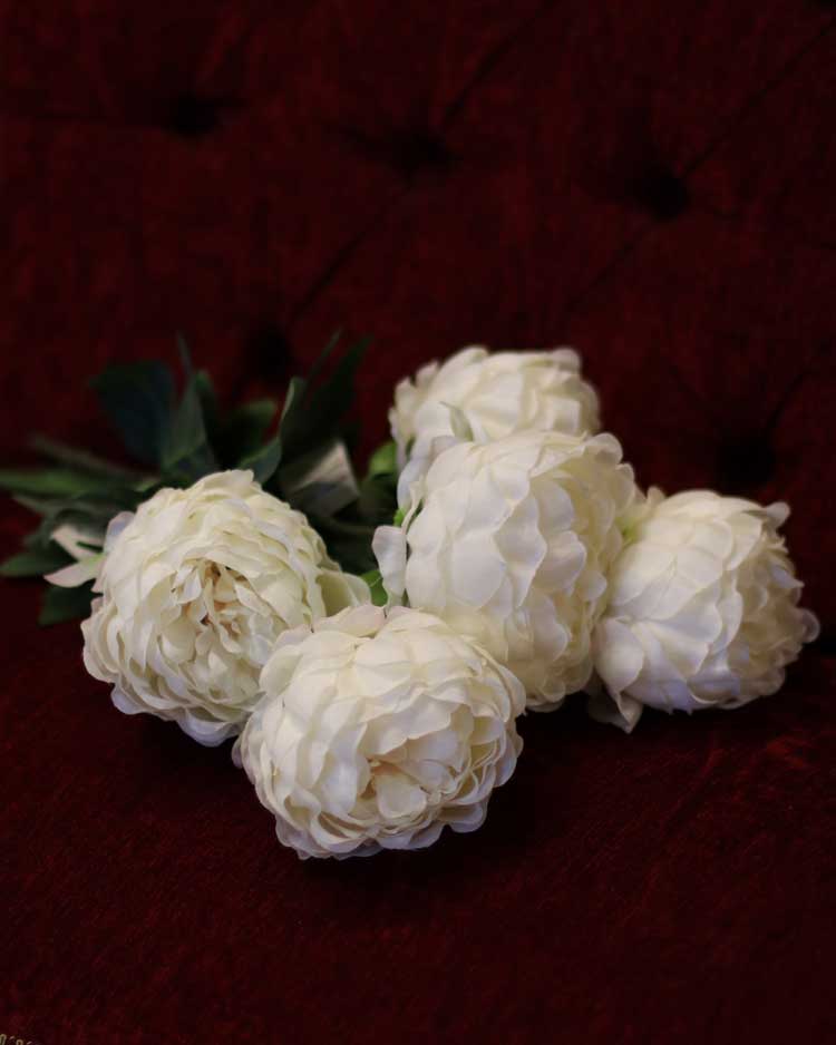 p-single-flower-peony-1