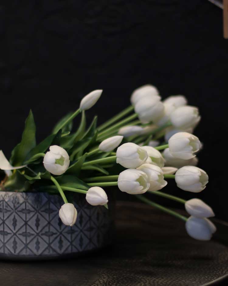 p-tulip-flower-v2-3
