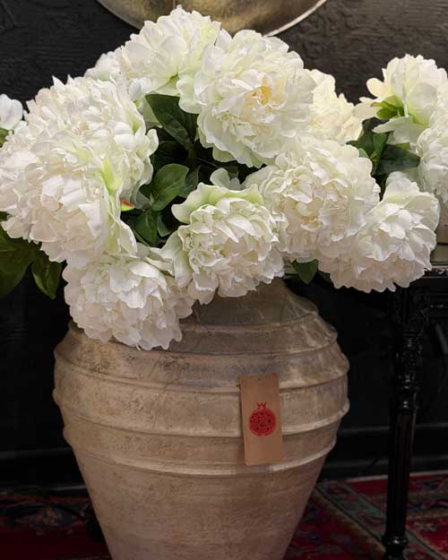 p-paeonia-flower-4 گل صدتومانی
