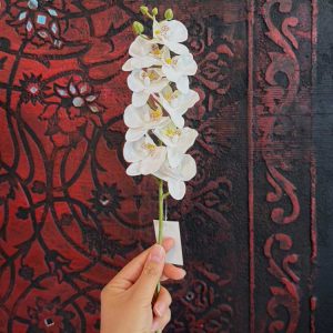 ارکیده مینیاتوری سفید